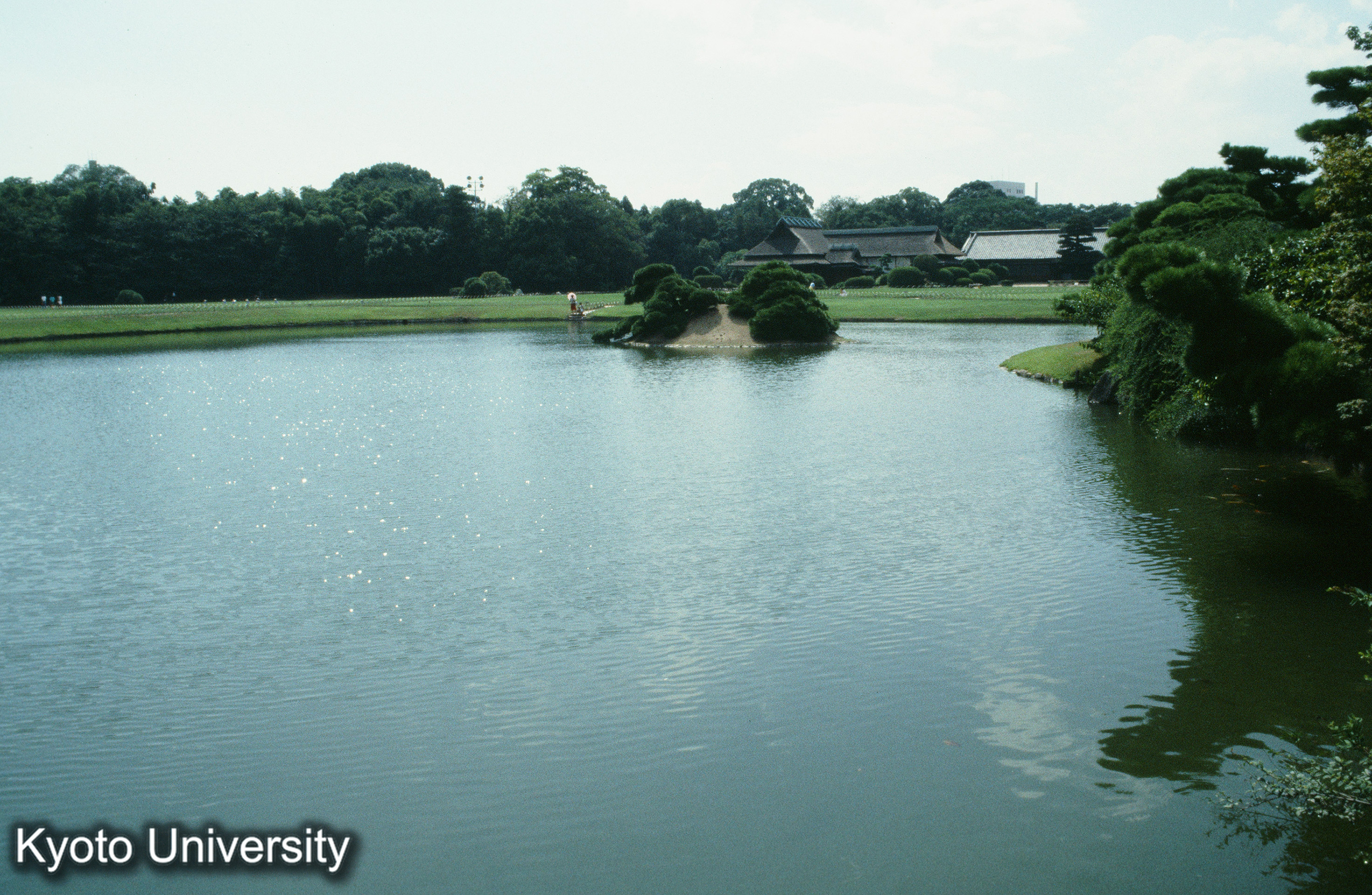 ［スライド］ (1)