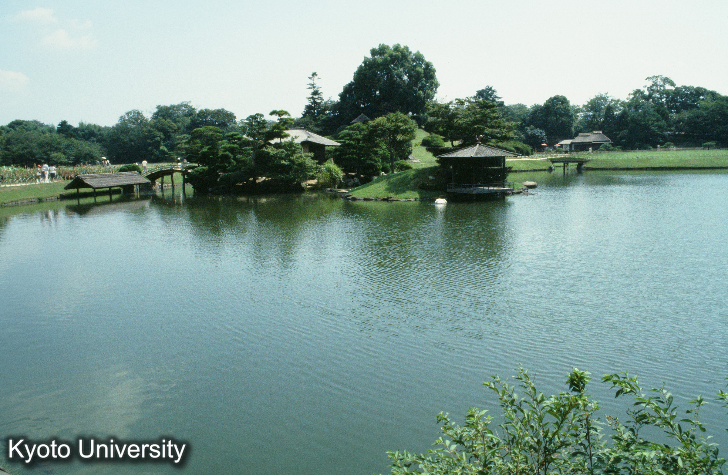 ［スライド］ (1)