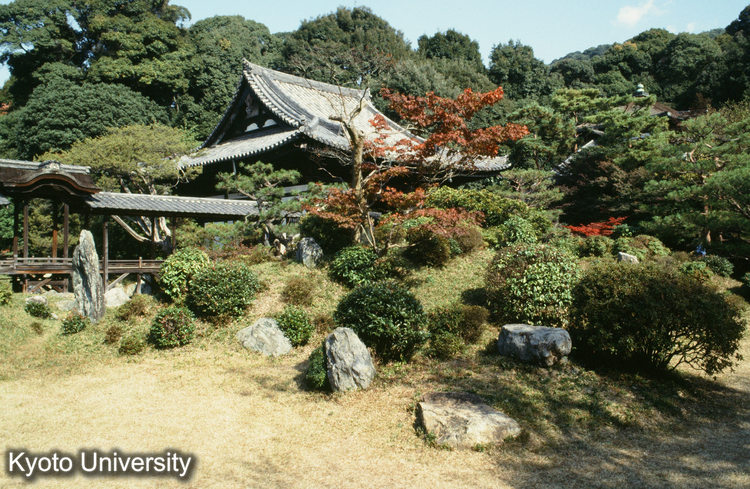 ［スライド］ (1)