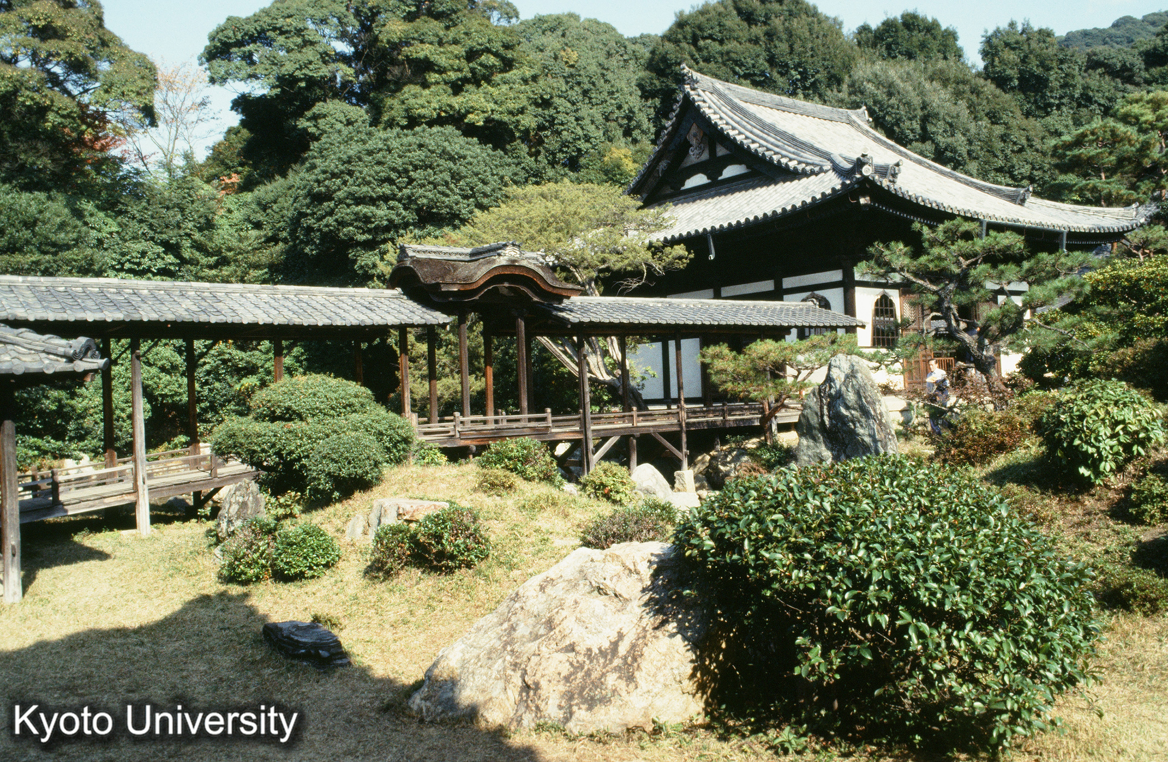 ［スライド］ (1)