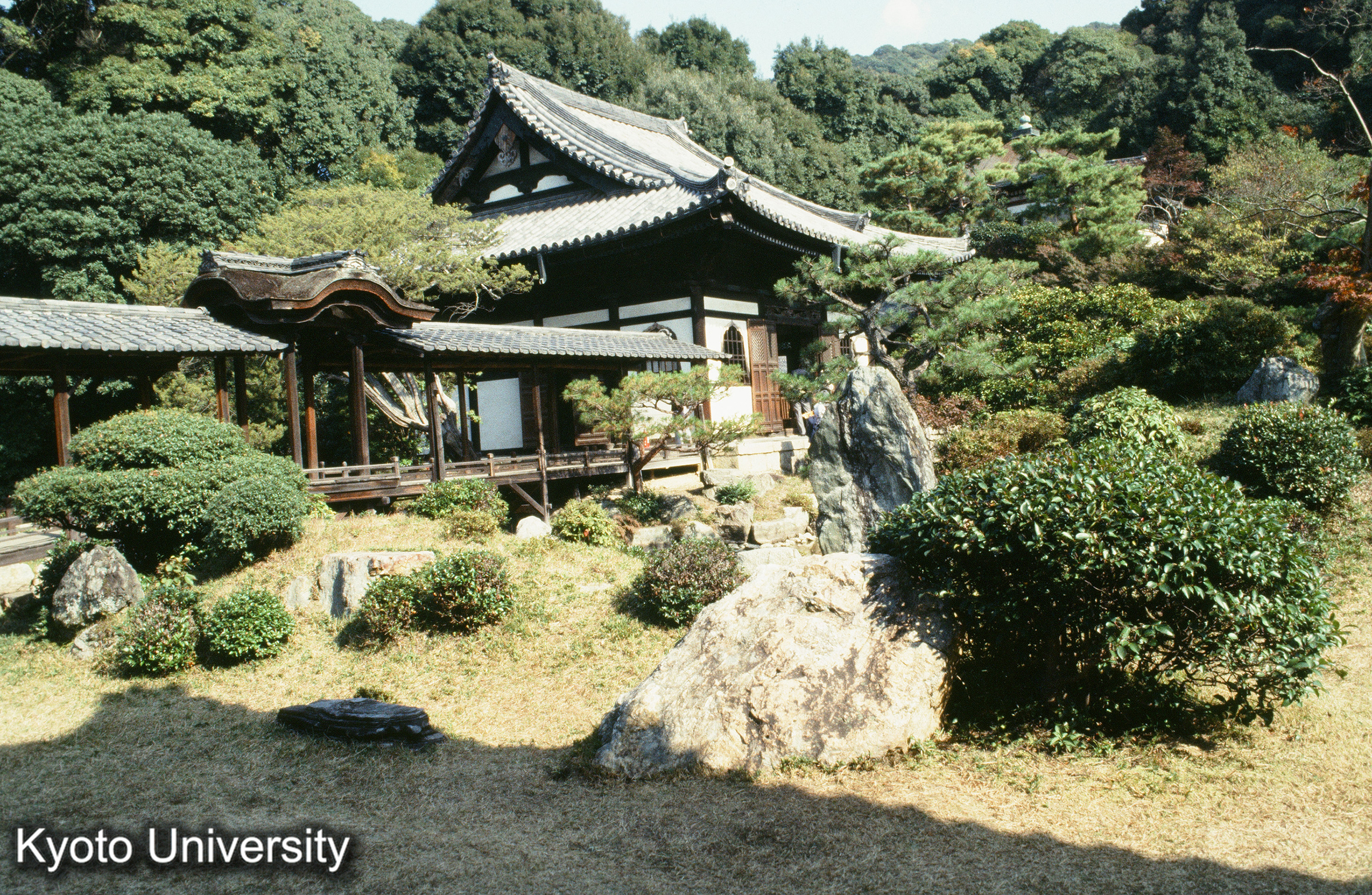 ［スライド］ (1)