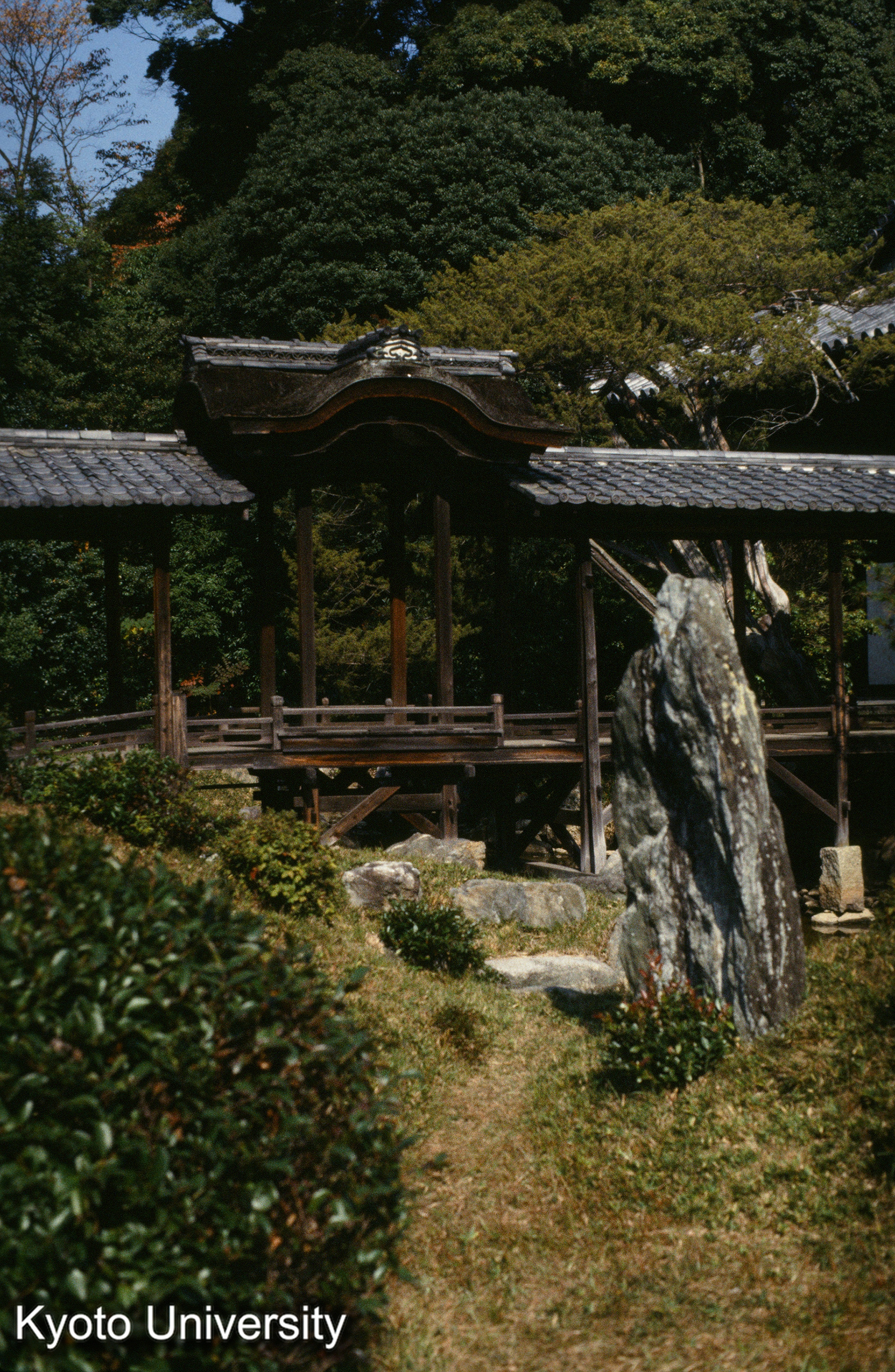 ［スライド］ (1)