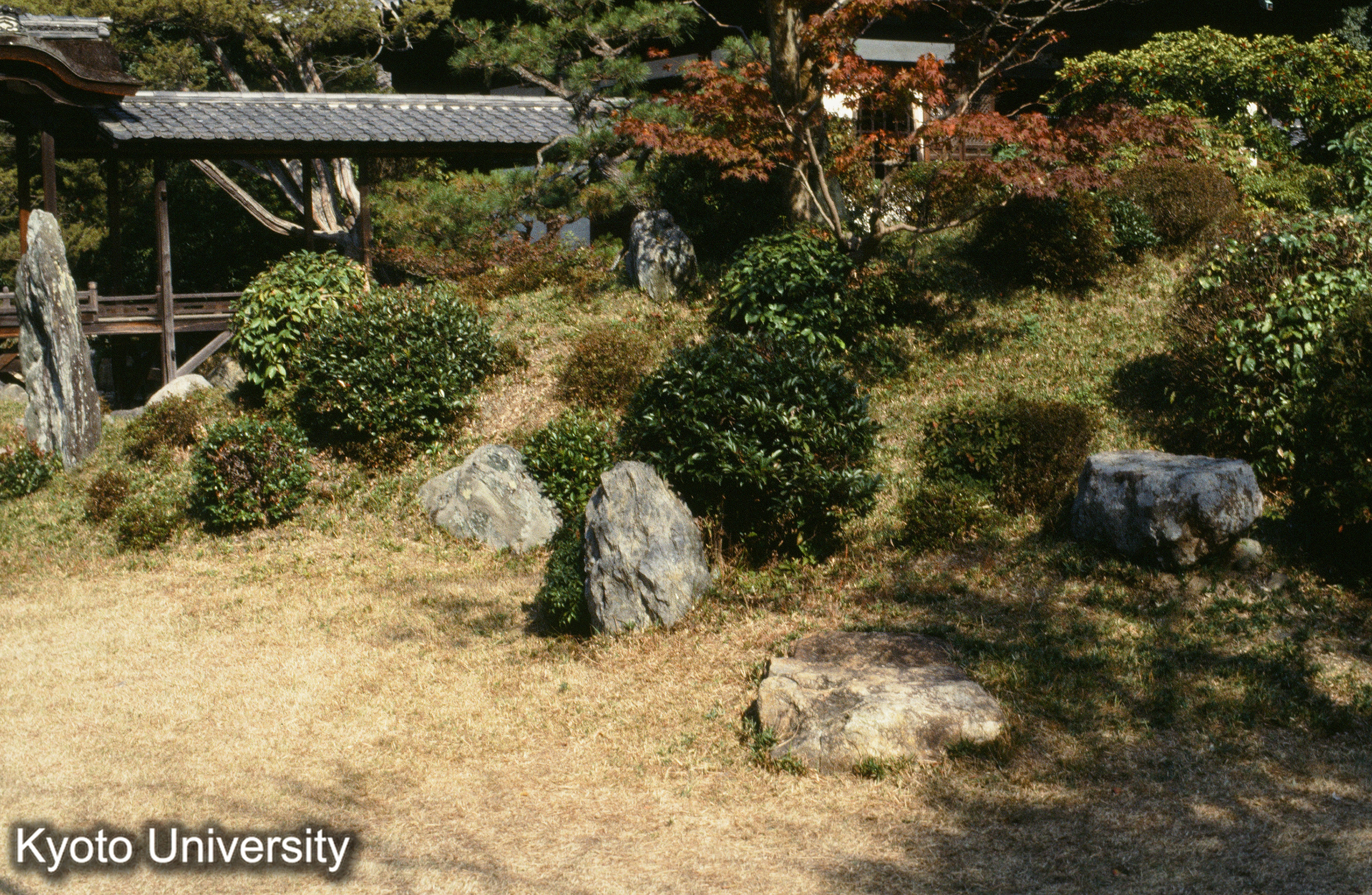 ［スライド］ (1)