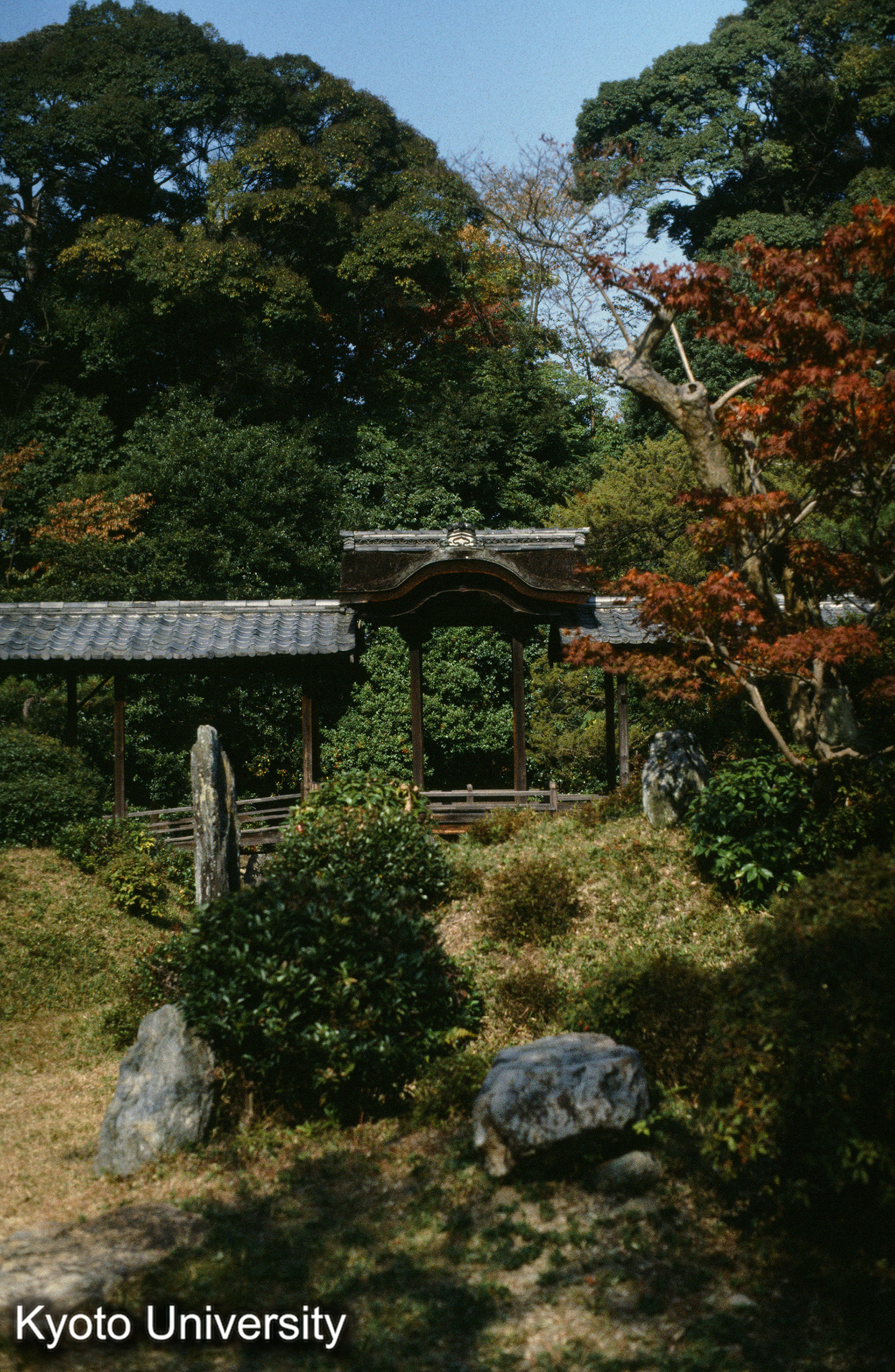 ［スライド］ (1)