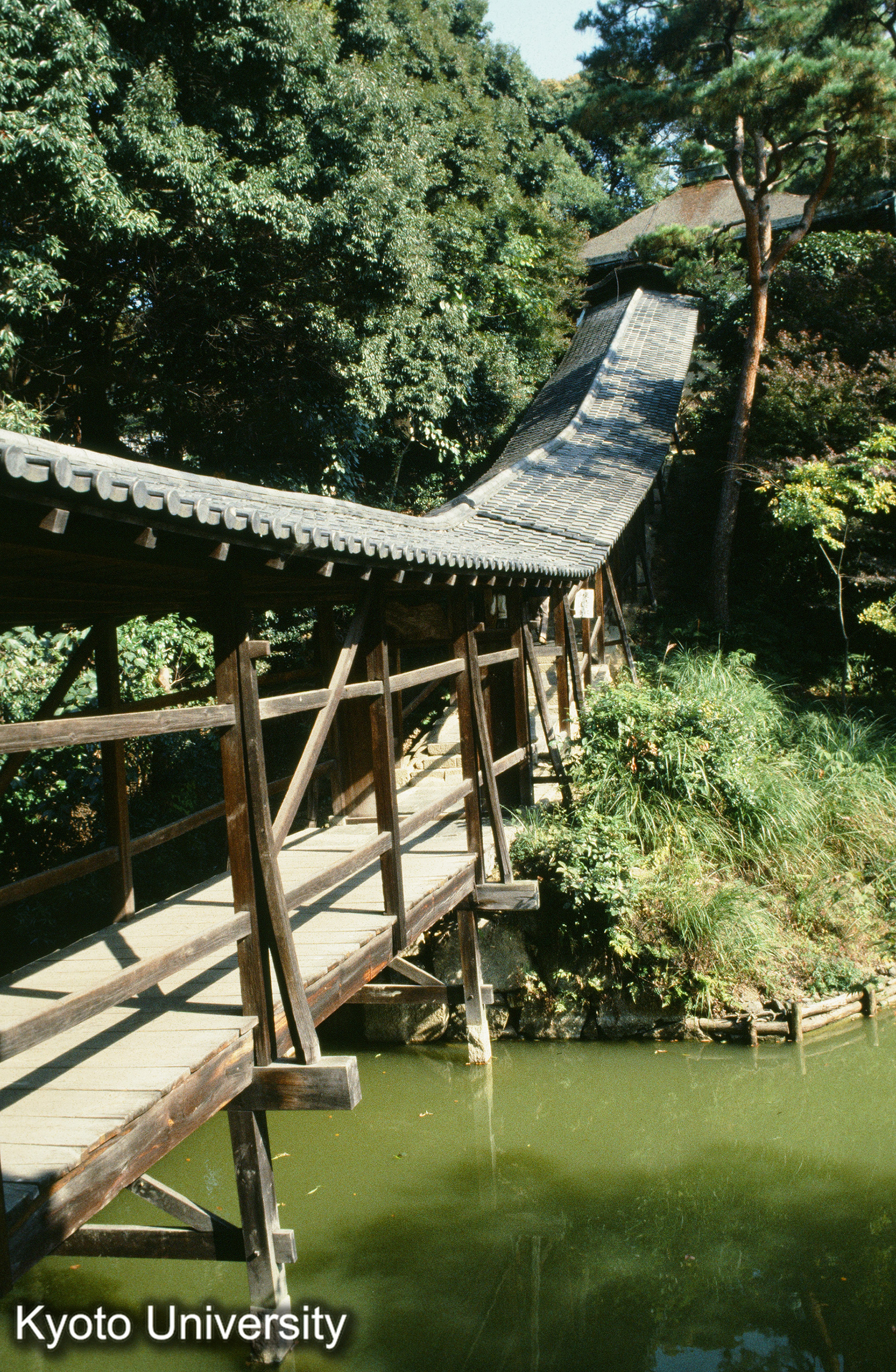 ［スライド］ (1)