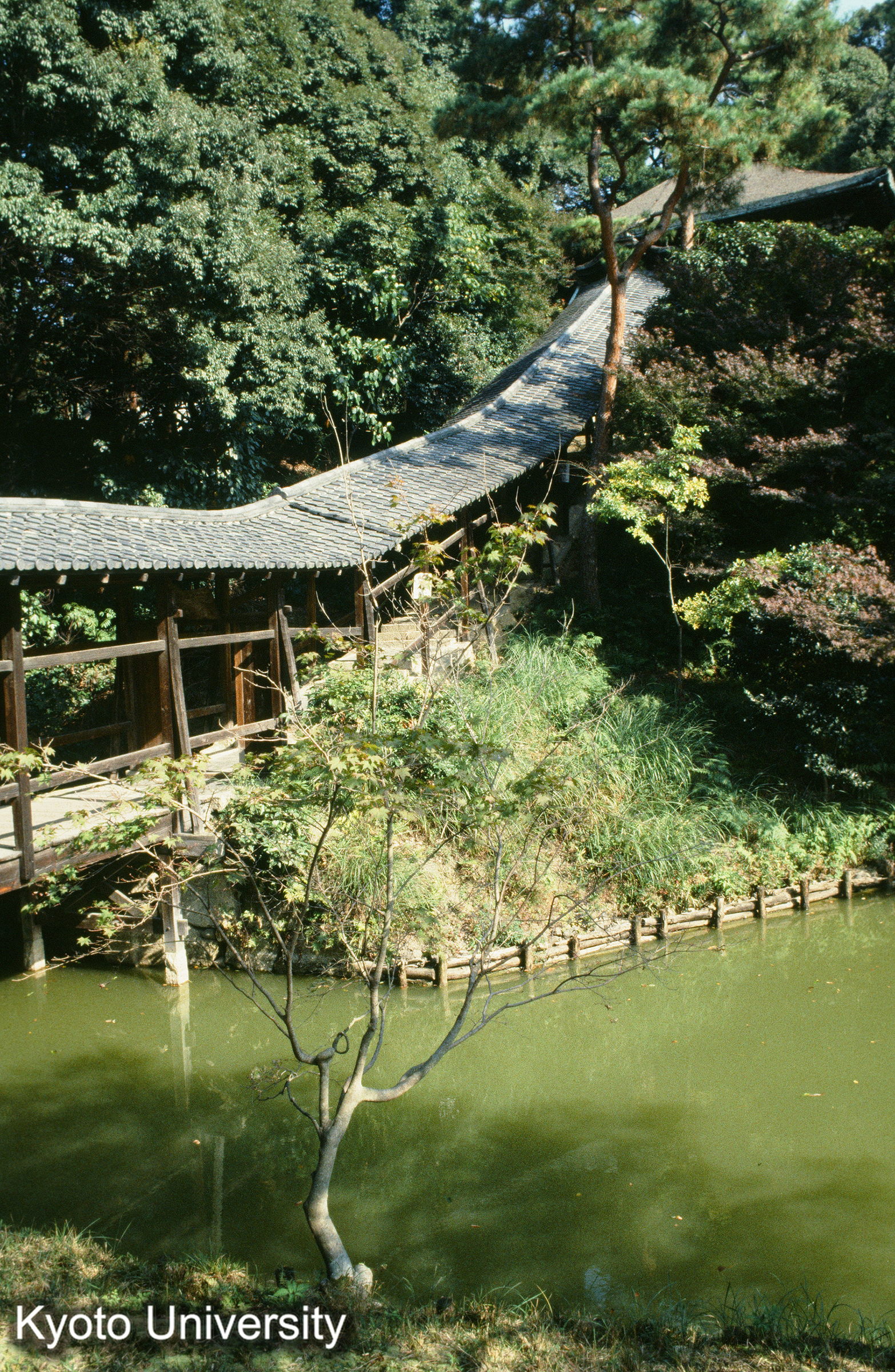 ［スライド］ (1)