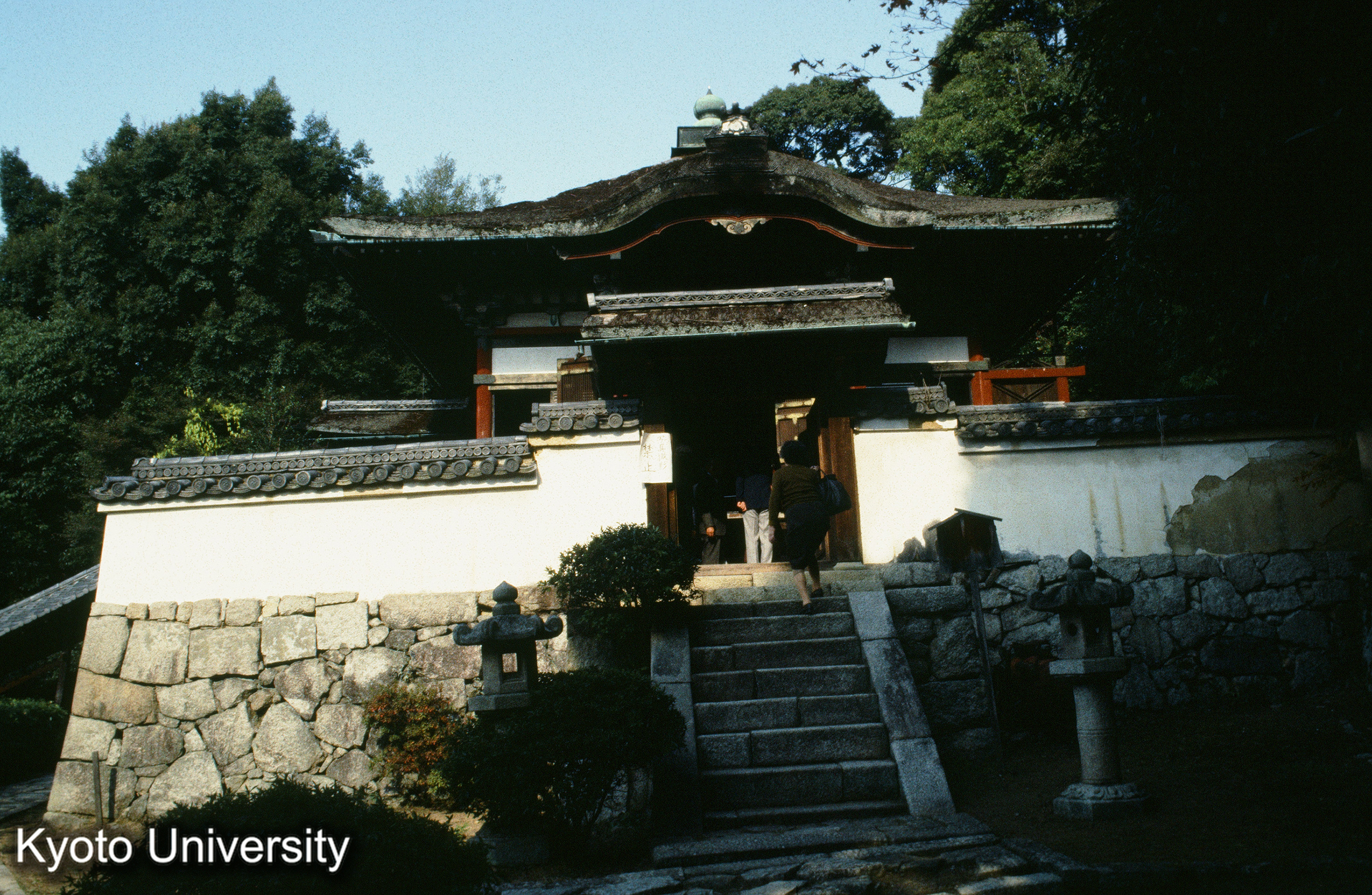 ［スライド］ (1)