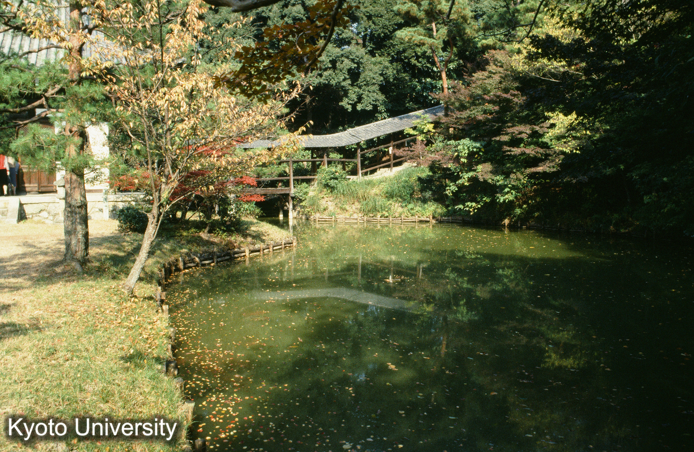 ［スライド］ (1)