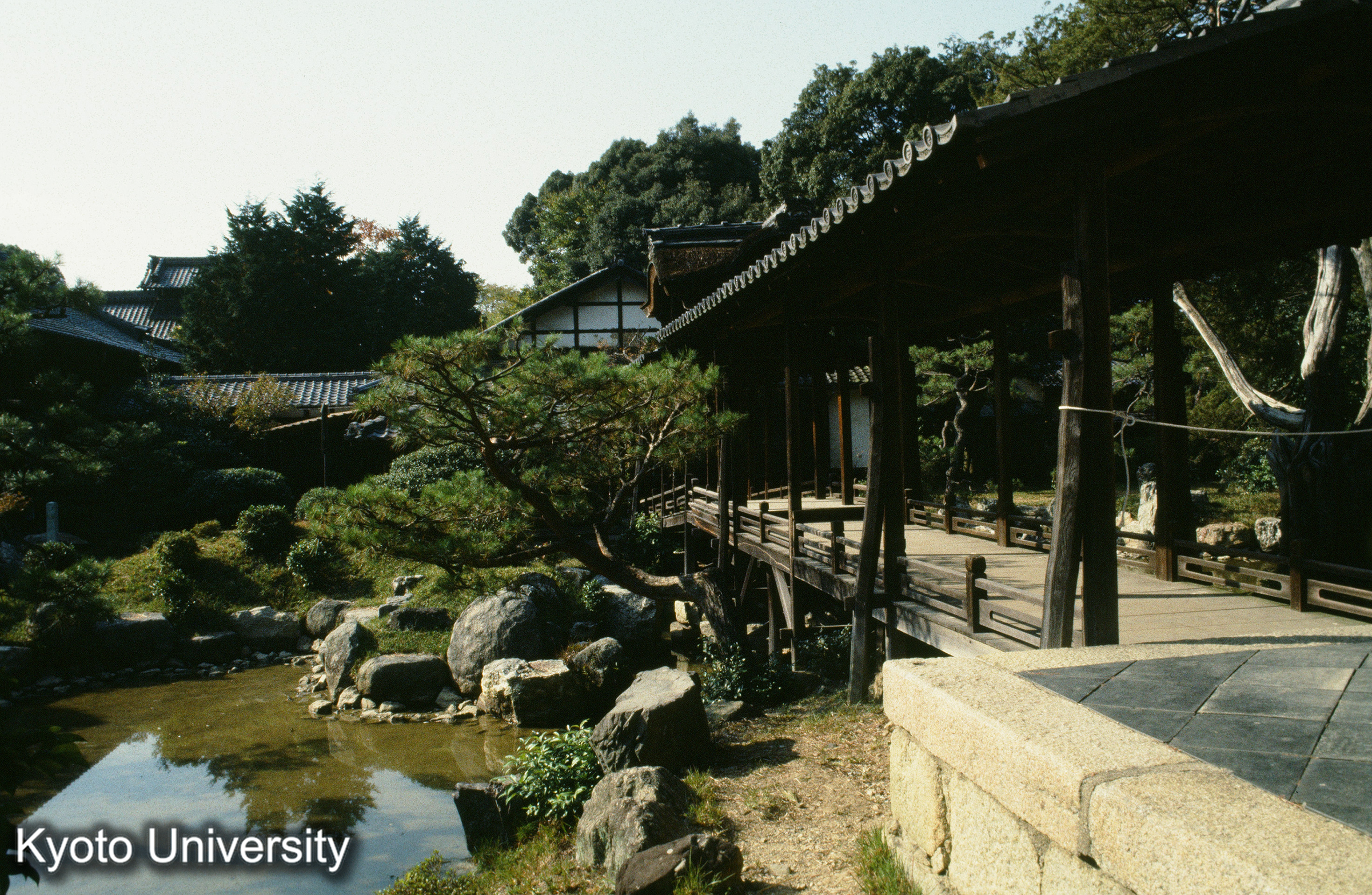 ［スライド］ (1)