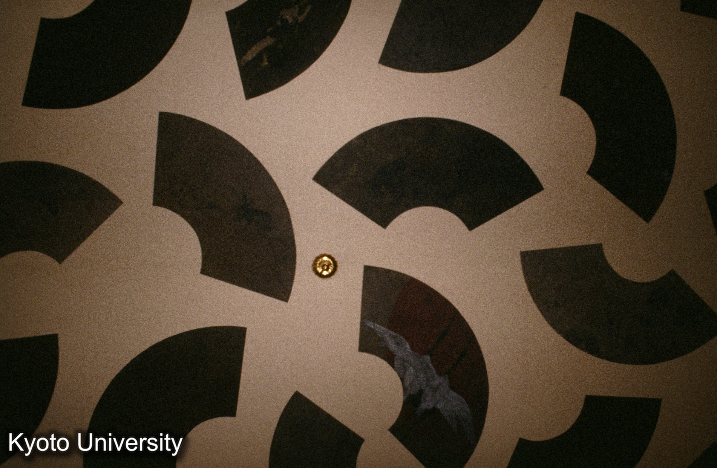 ［スライド］ (1)