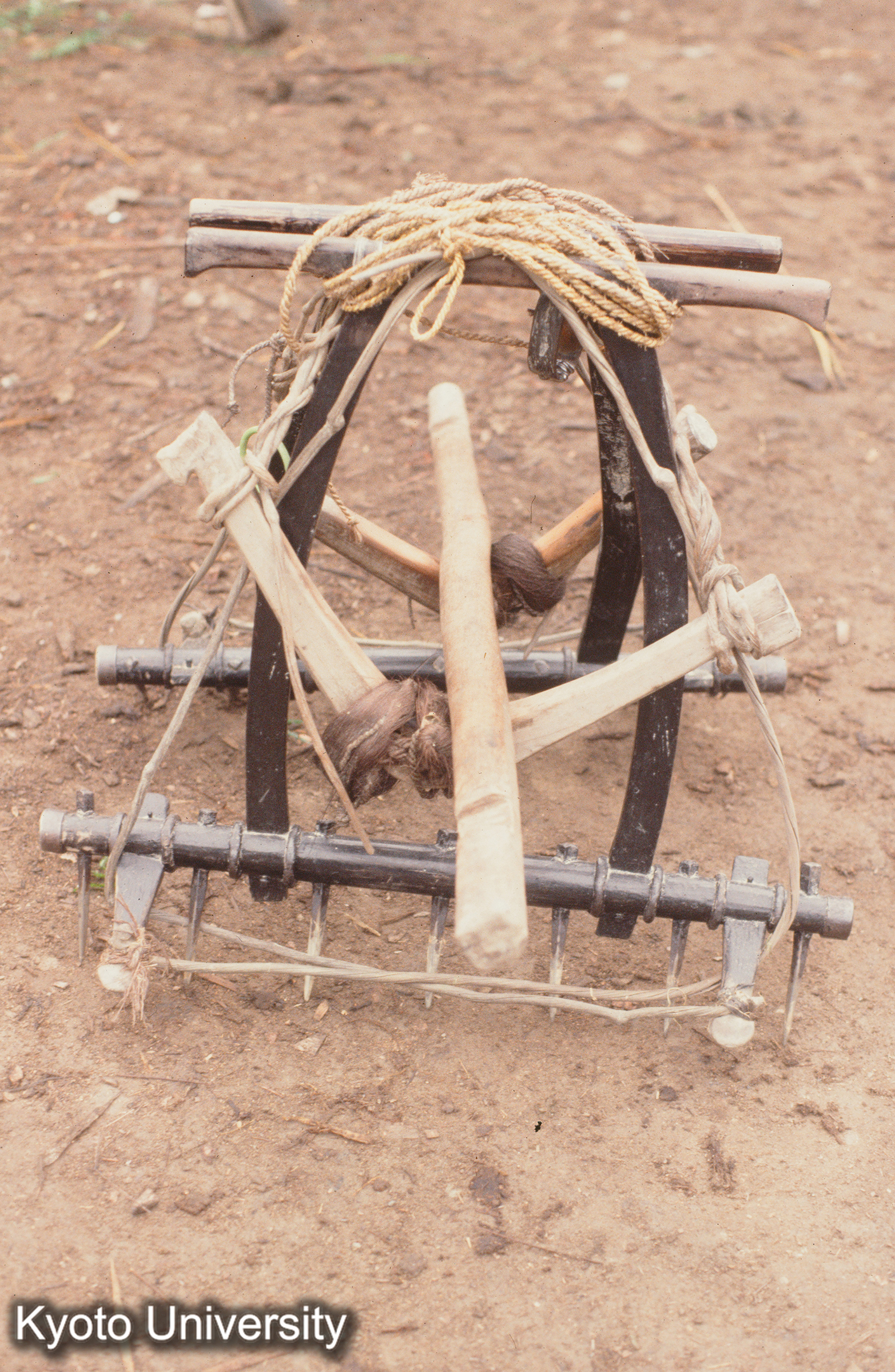 446_耙 新民它苗 苗 (1)