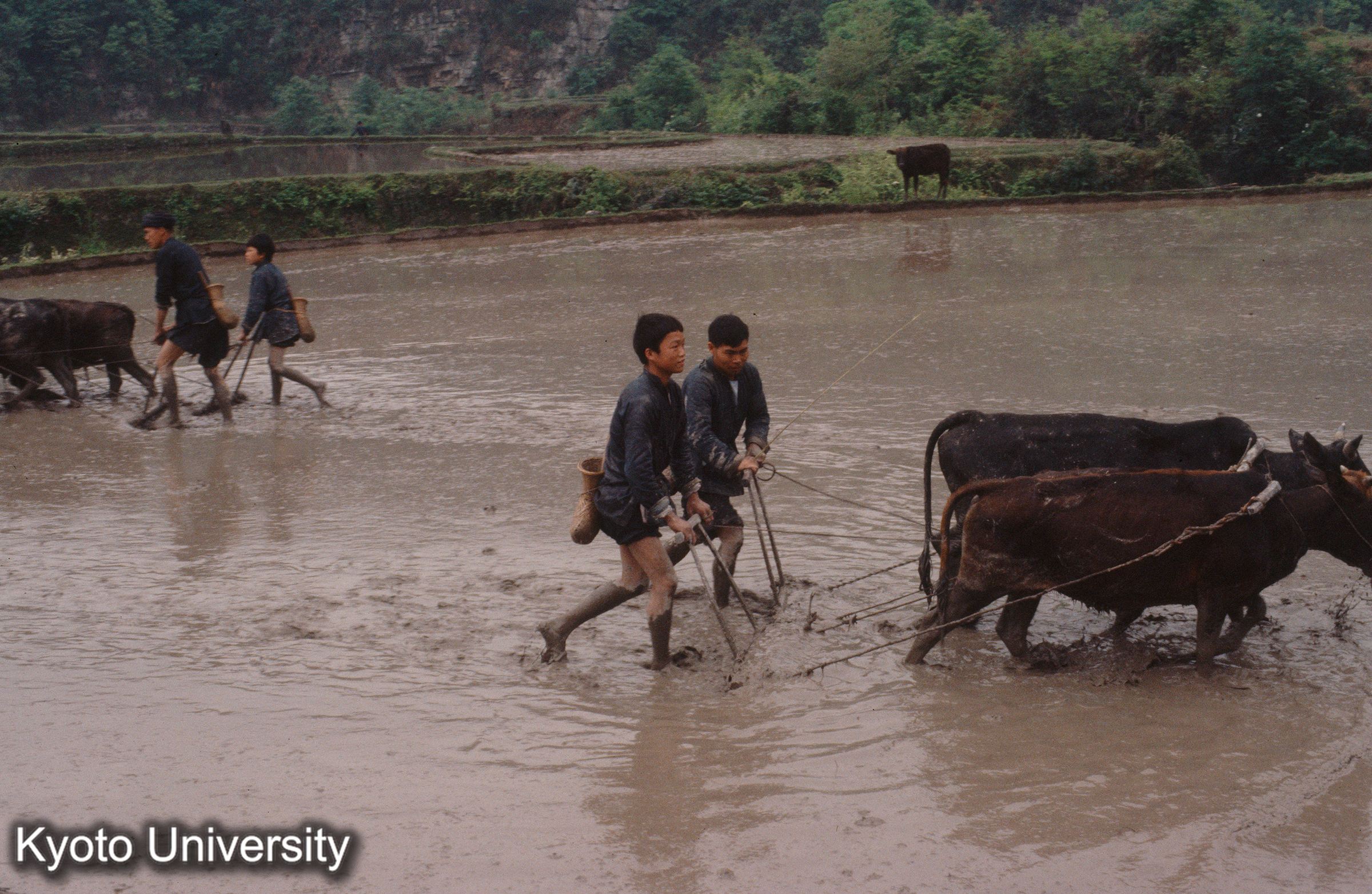 471_耙 新民往侗_〇 (1)