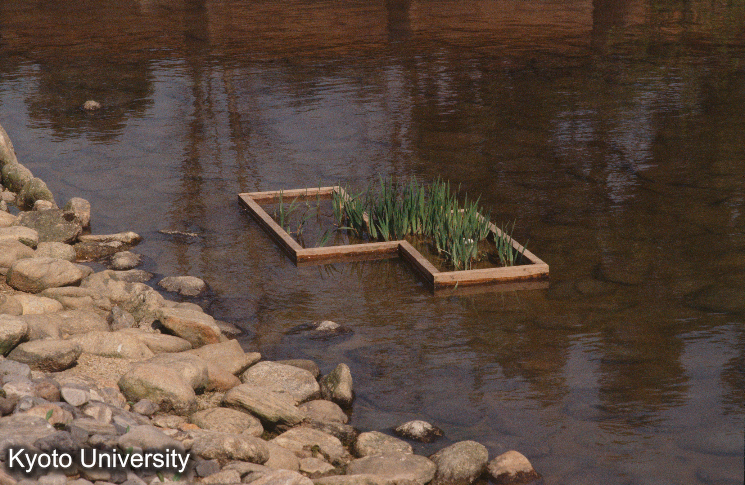 平城宮跡庭園 (1)