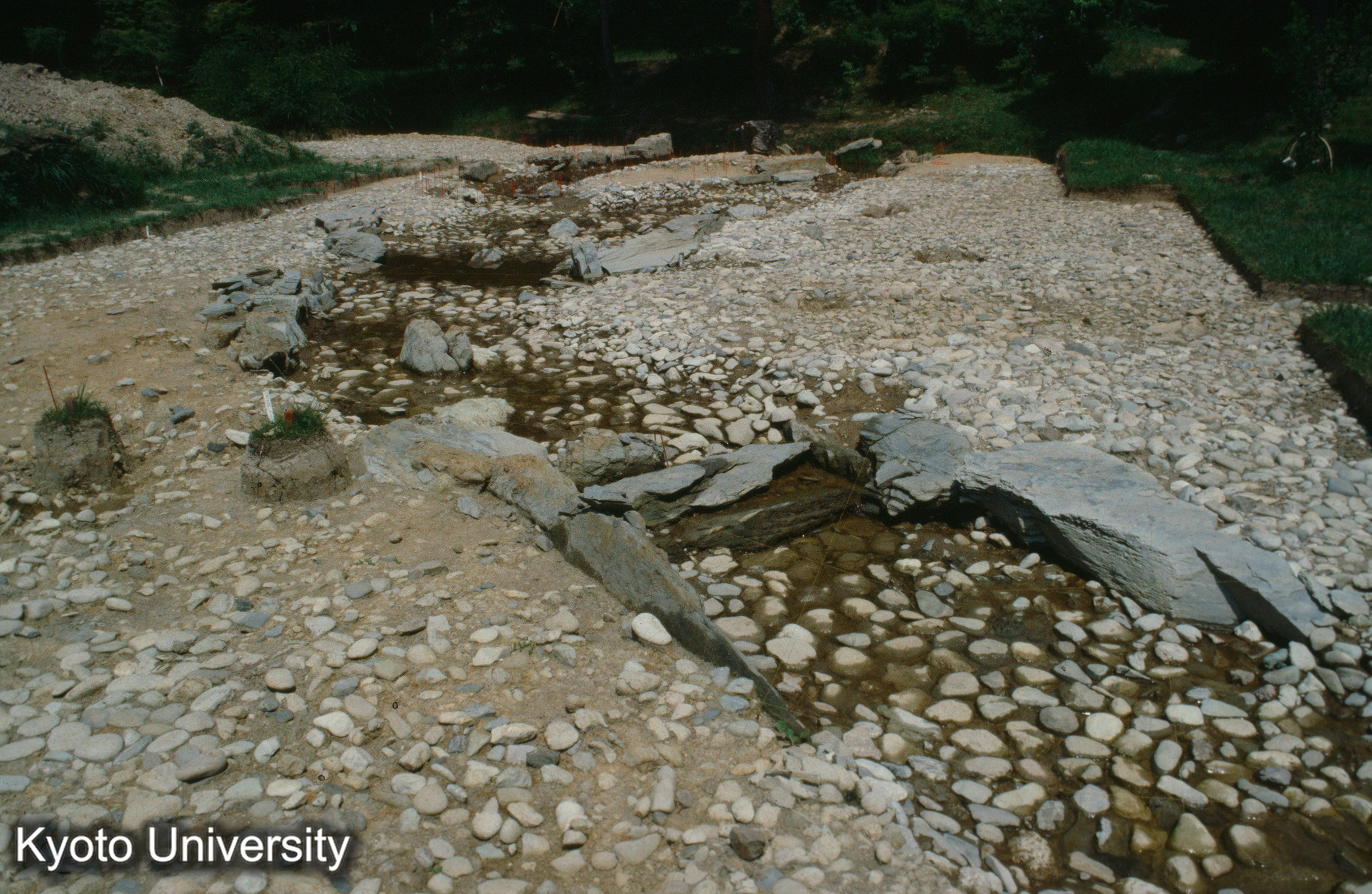 毛越寺遣水（発掘） （23） 〇 (1)