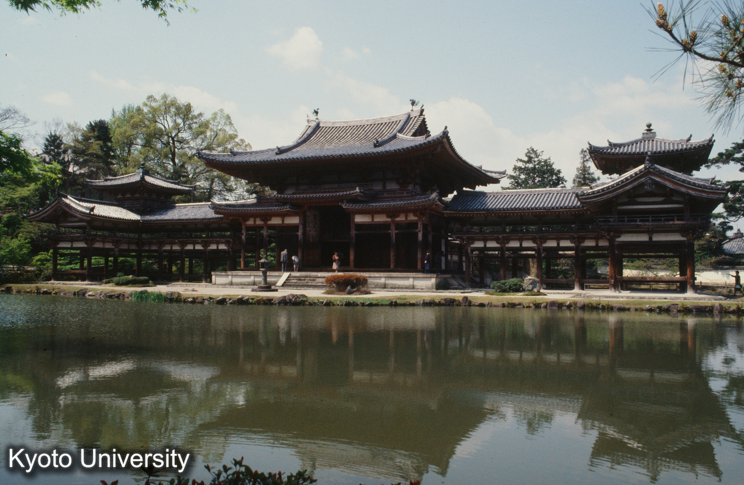 平等院 平等院鳳凰堂 (1)