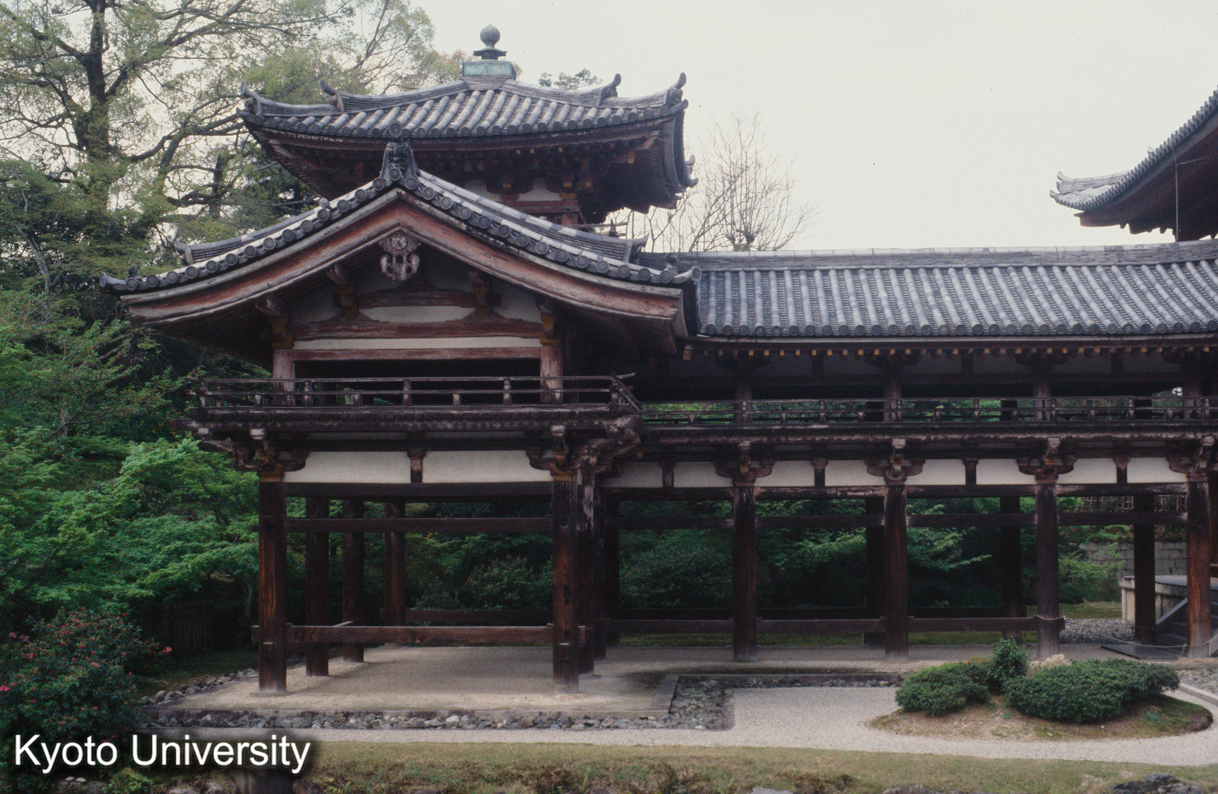 平等院鳳凰堂 (1)