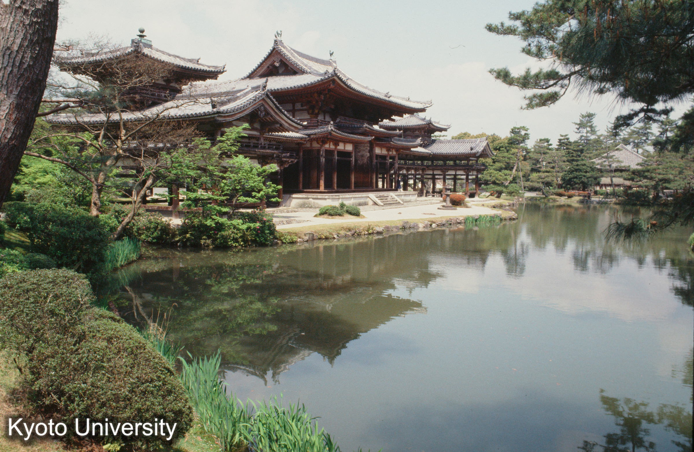 平等院鳳凰堂 (1)