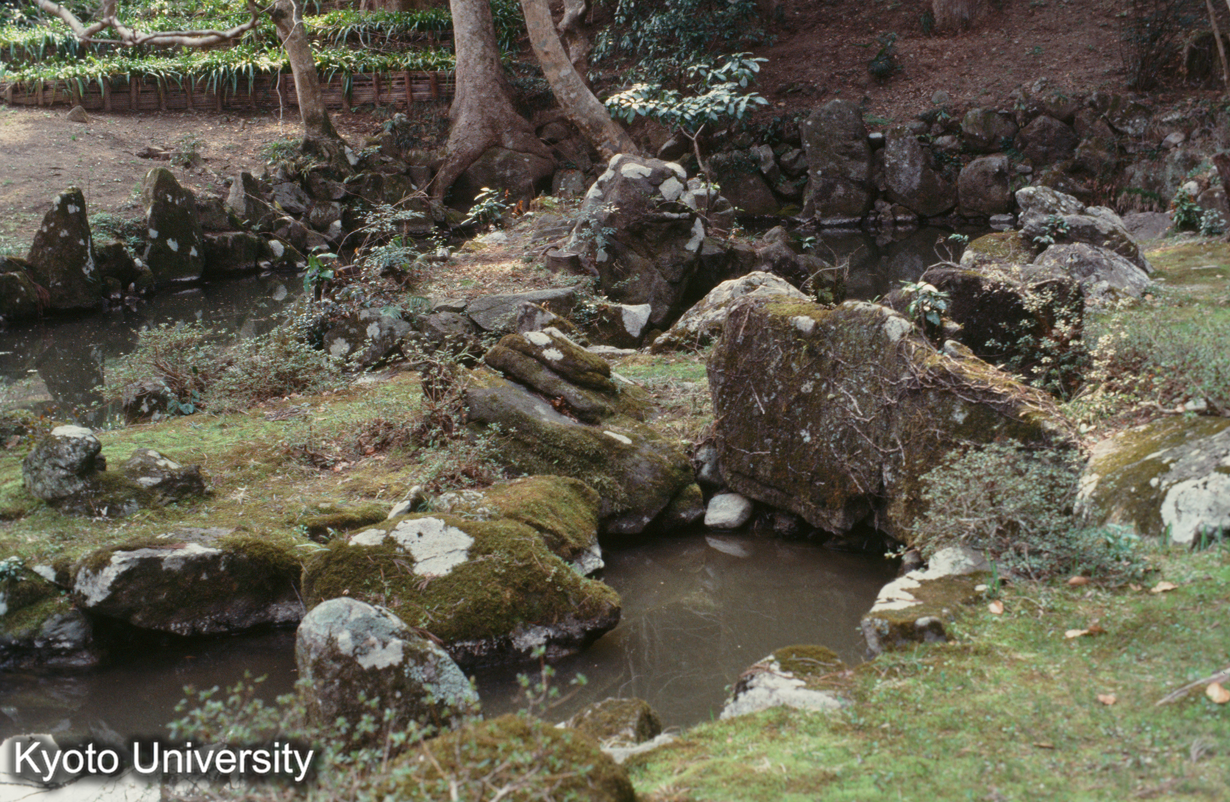 北畠神社 庭園 (1)