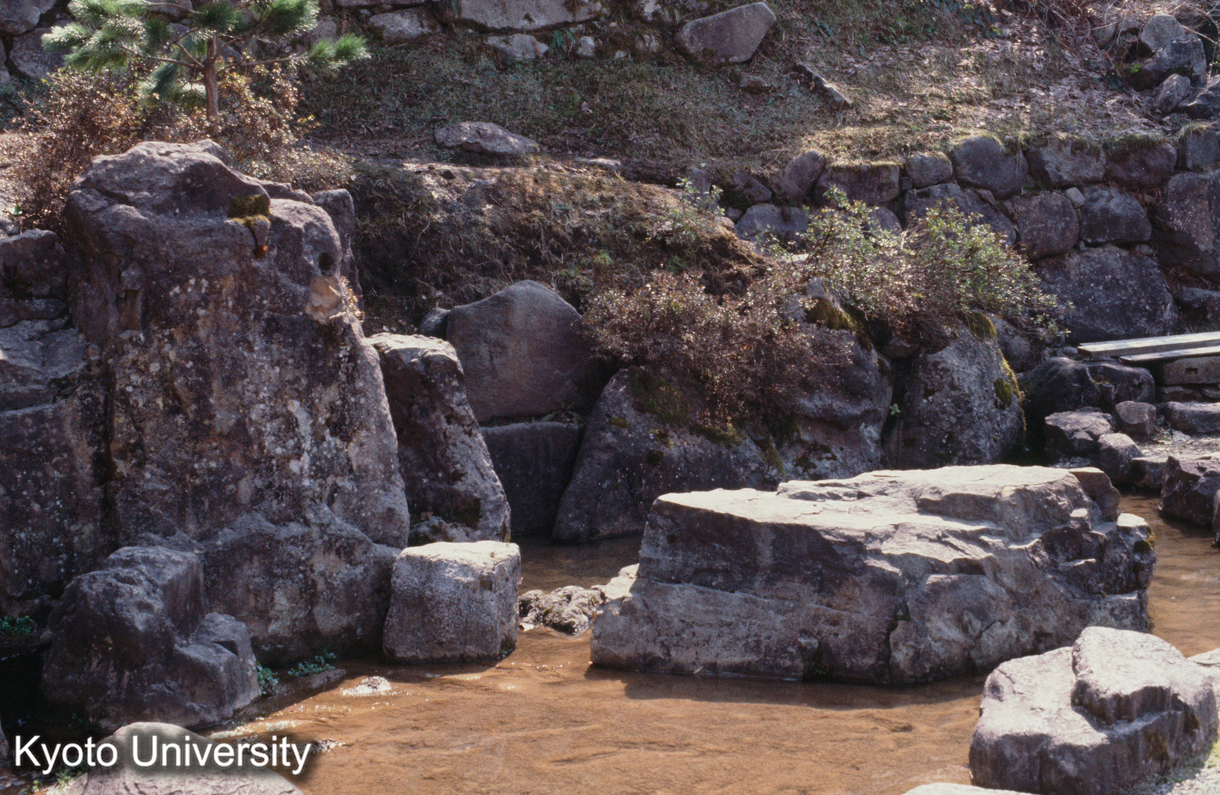 朝倉一乗谷 水池・石 (1)