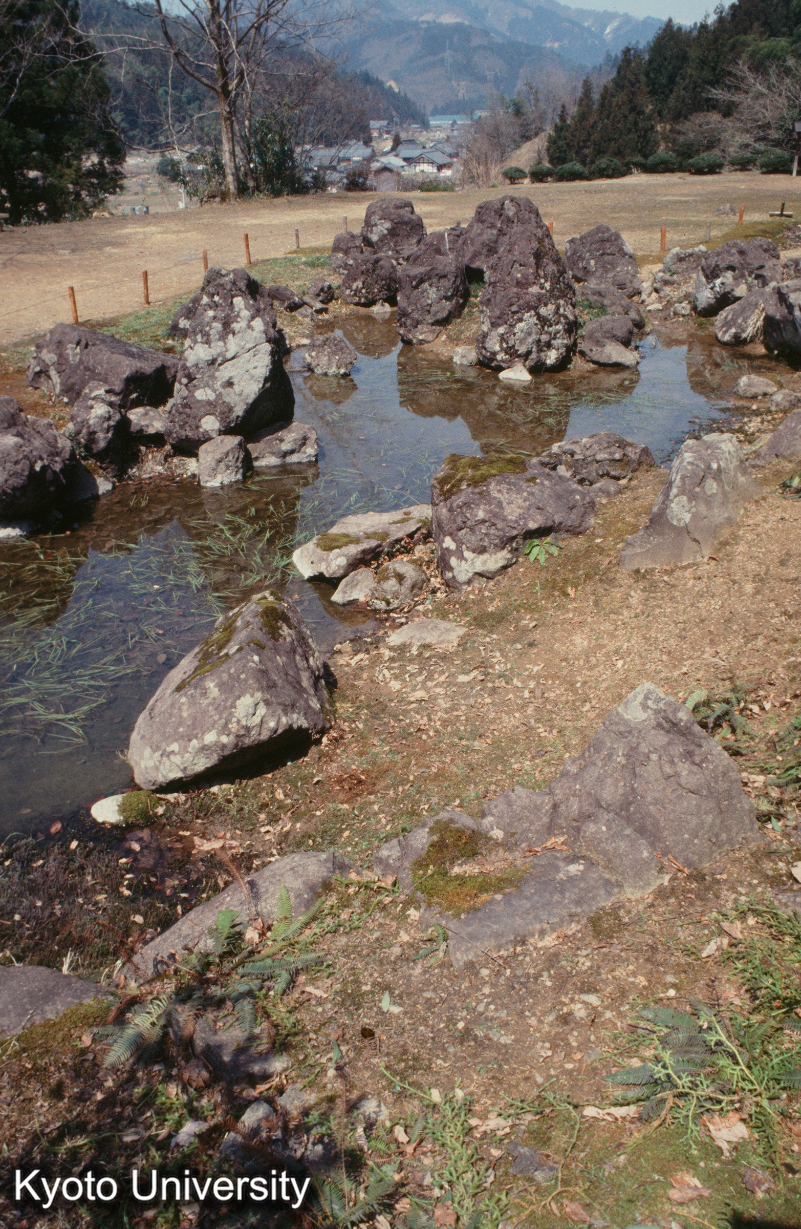 朝倉一乗谷 水池 (1)