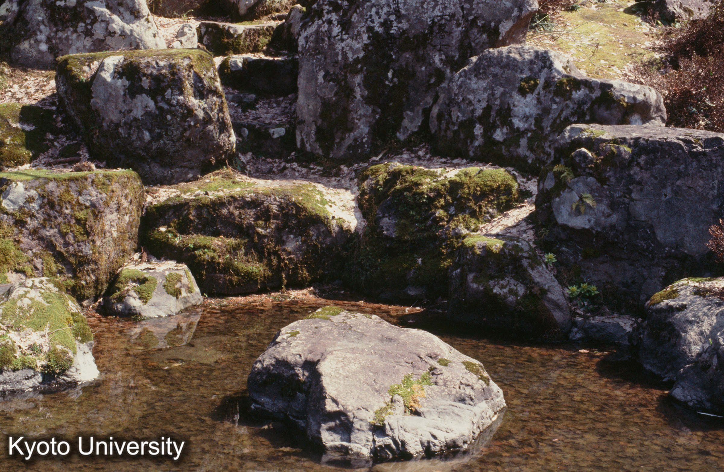 一乗谷朝倉館址 瀑布 (1)