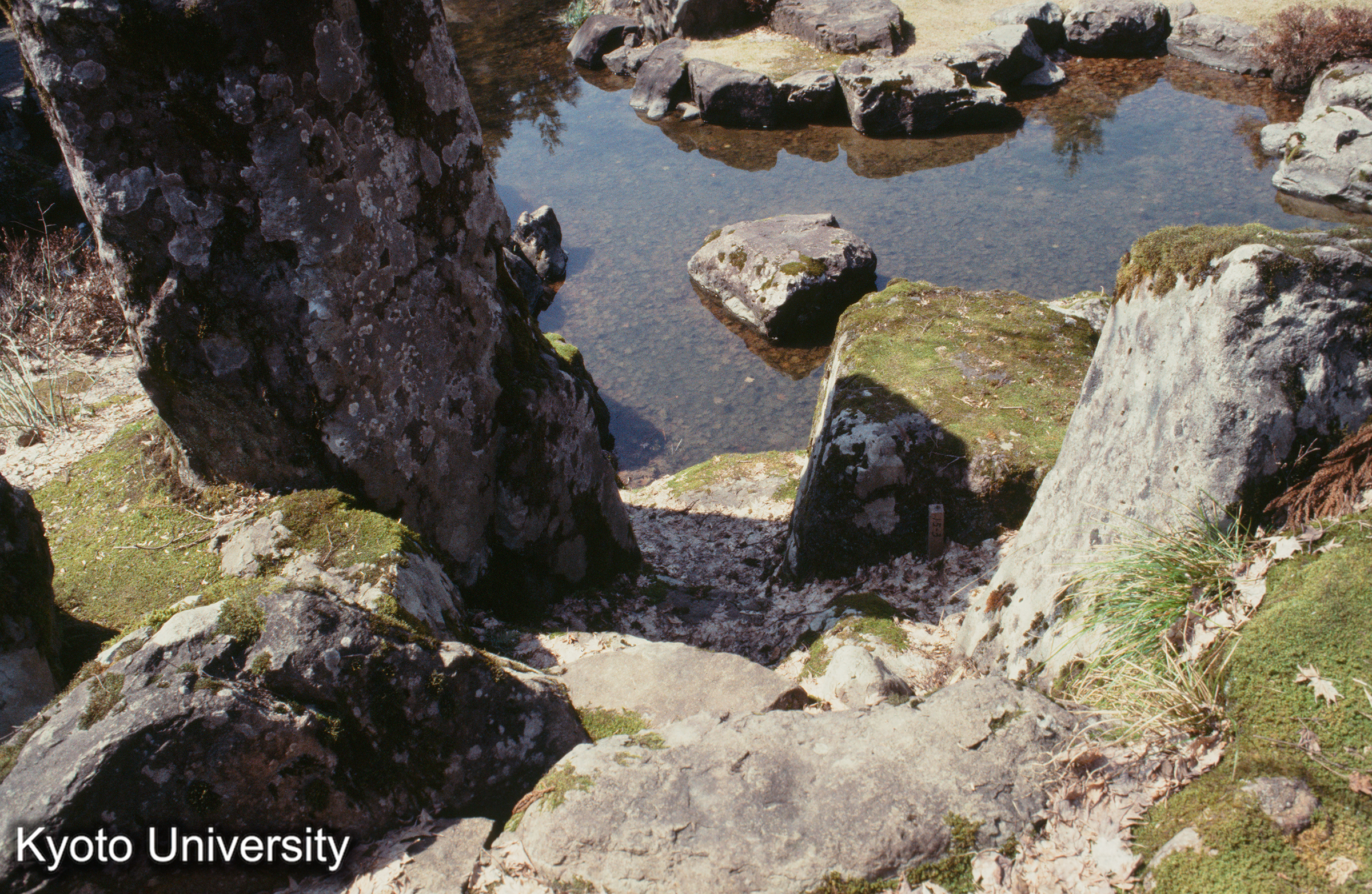 一乗谷朝倉氏館 (1)