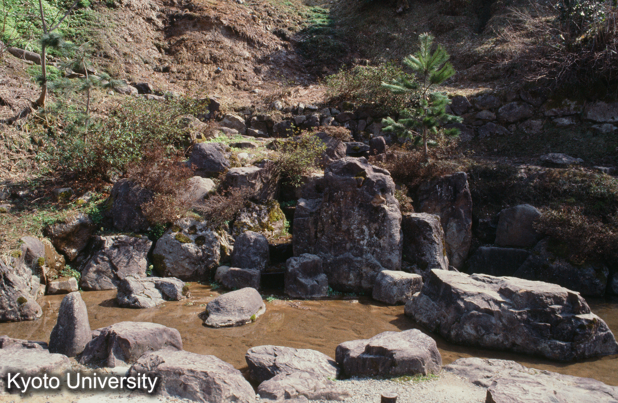 一乗谷朝倉館址 (1)