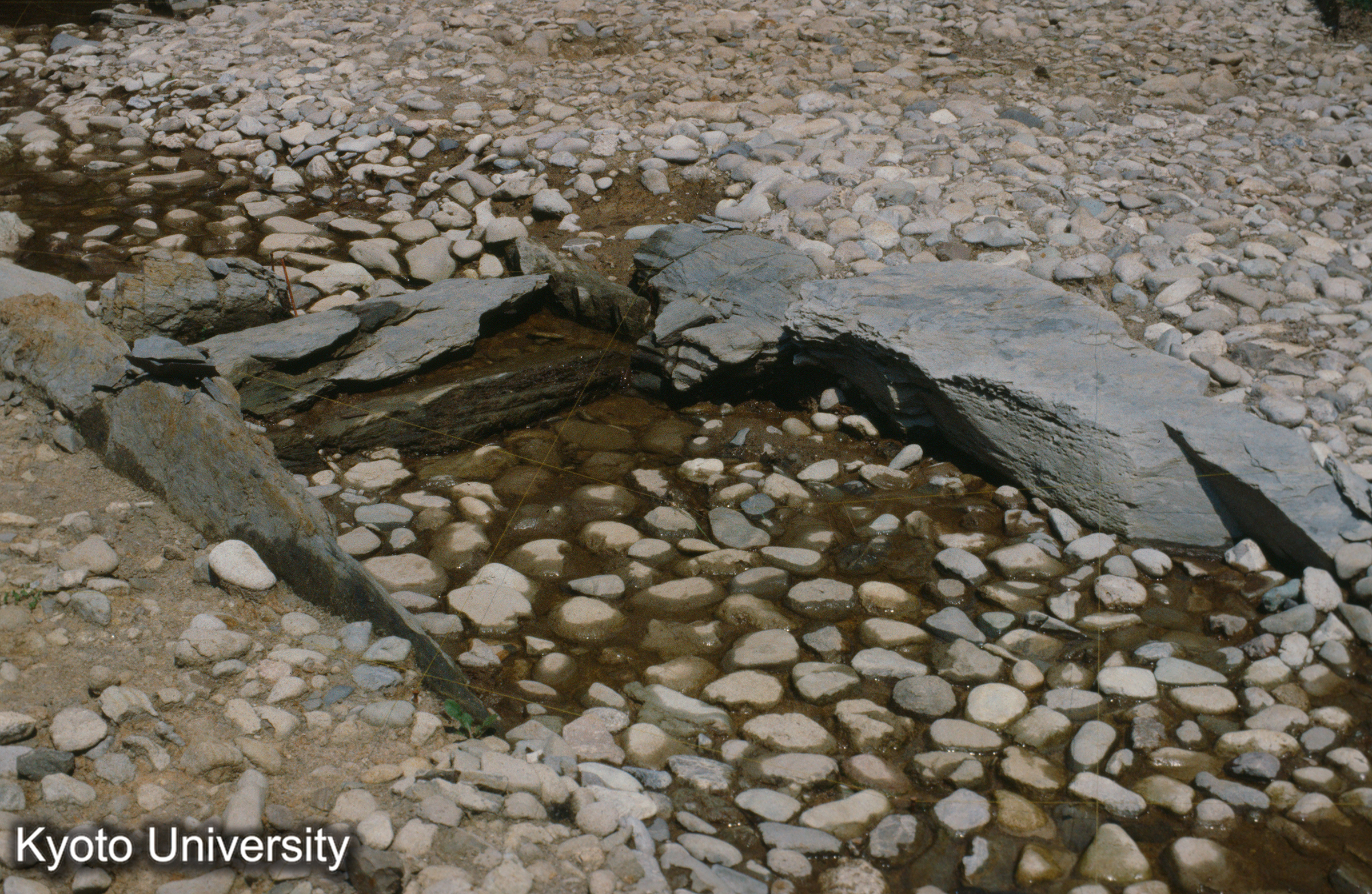 毛越寺遣水（発掘） （23） (1)