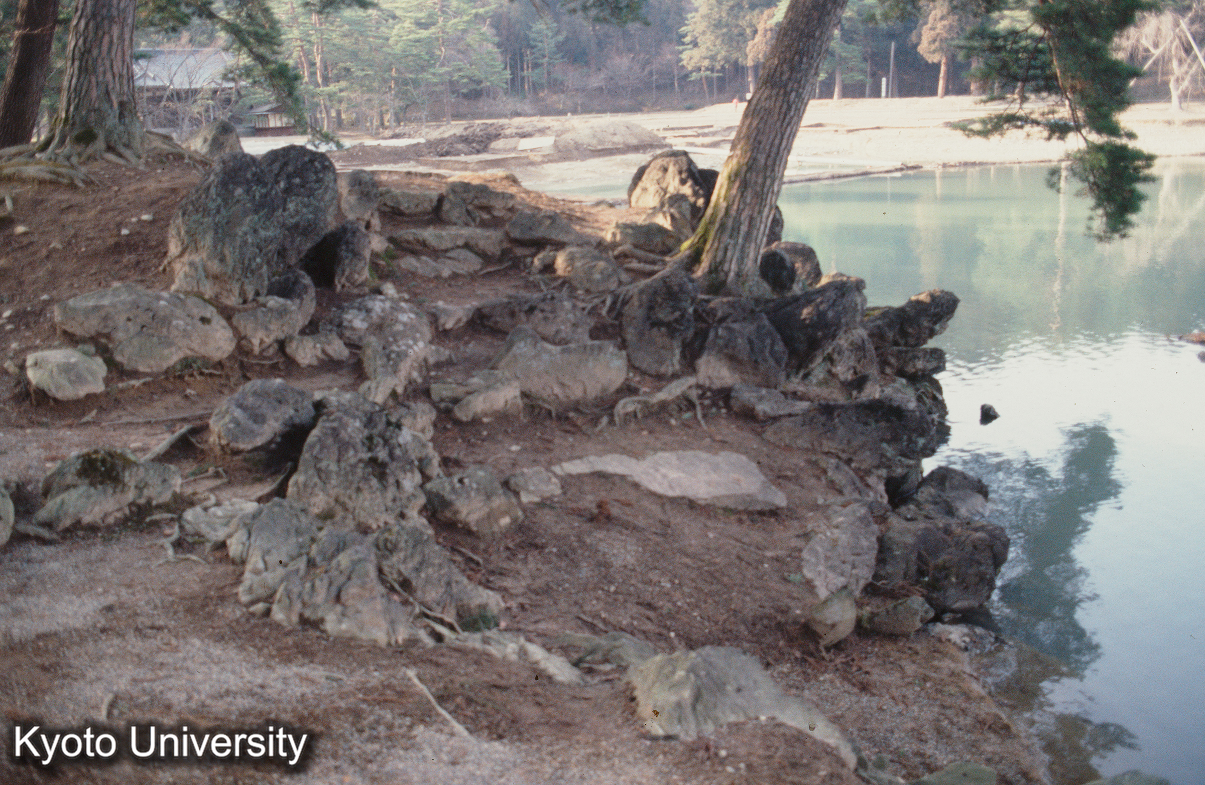毛越寺枯山水 (1)