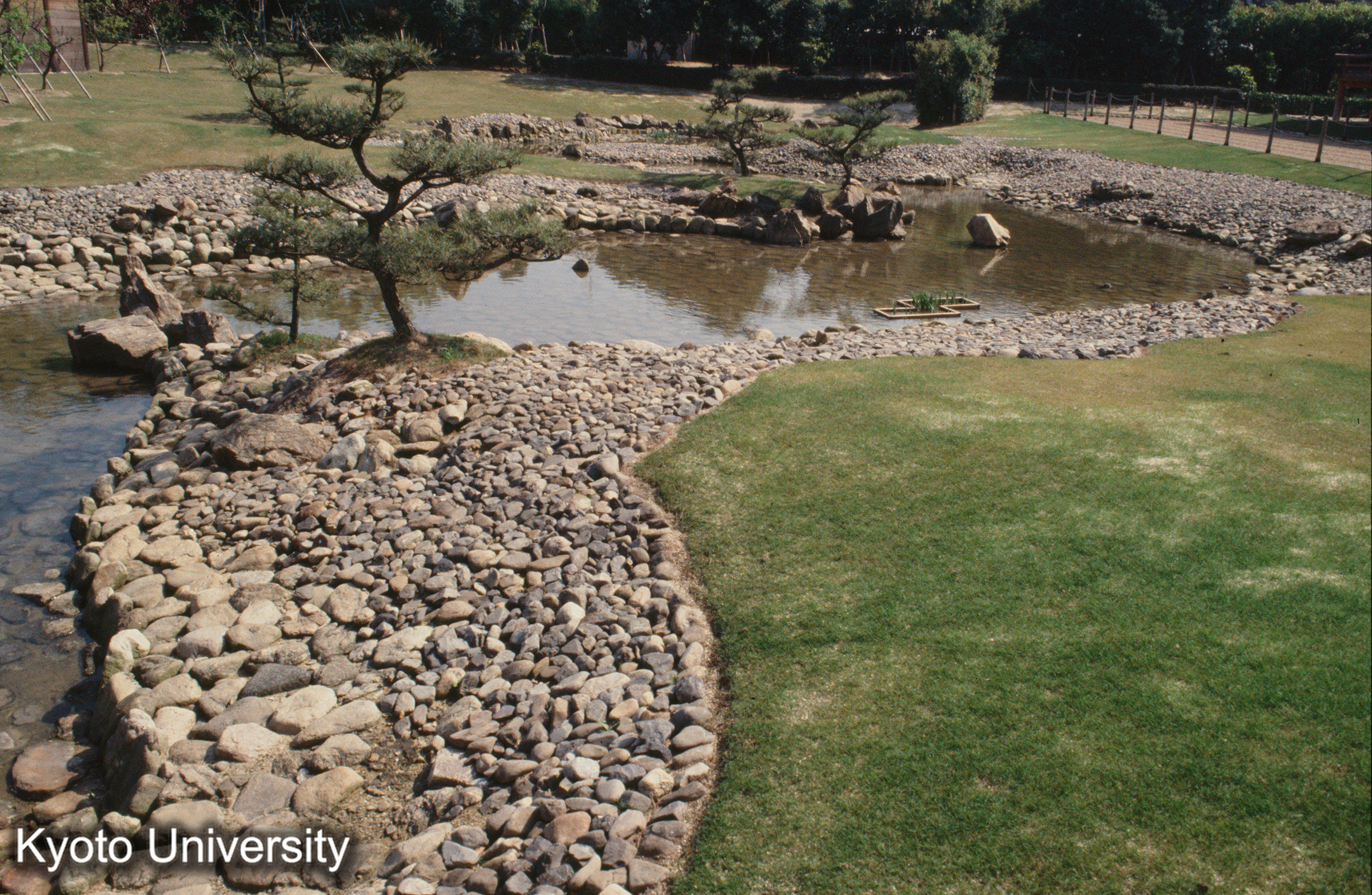 宮跡庭園 遣水（整備後） (1)