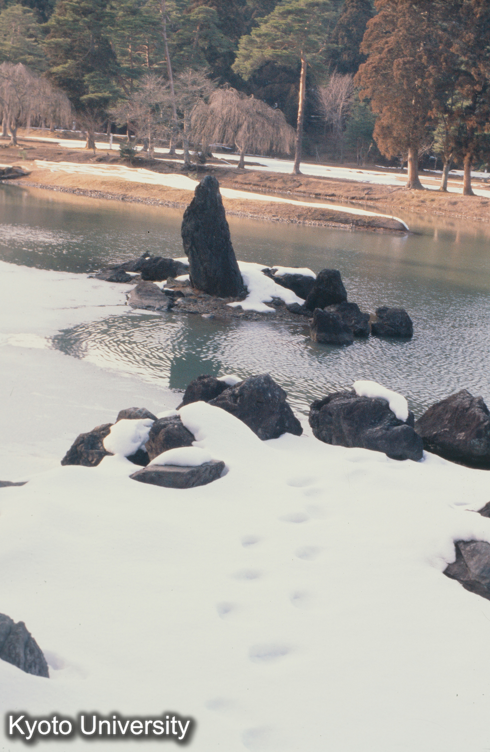 毛越寺立石_83.3. (1)