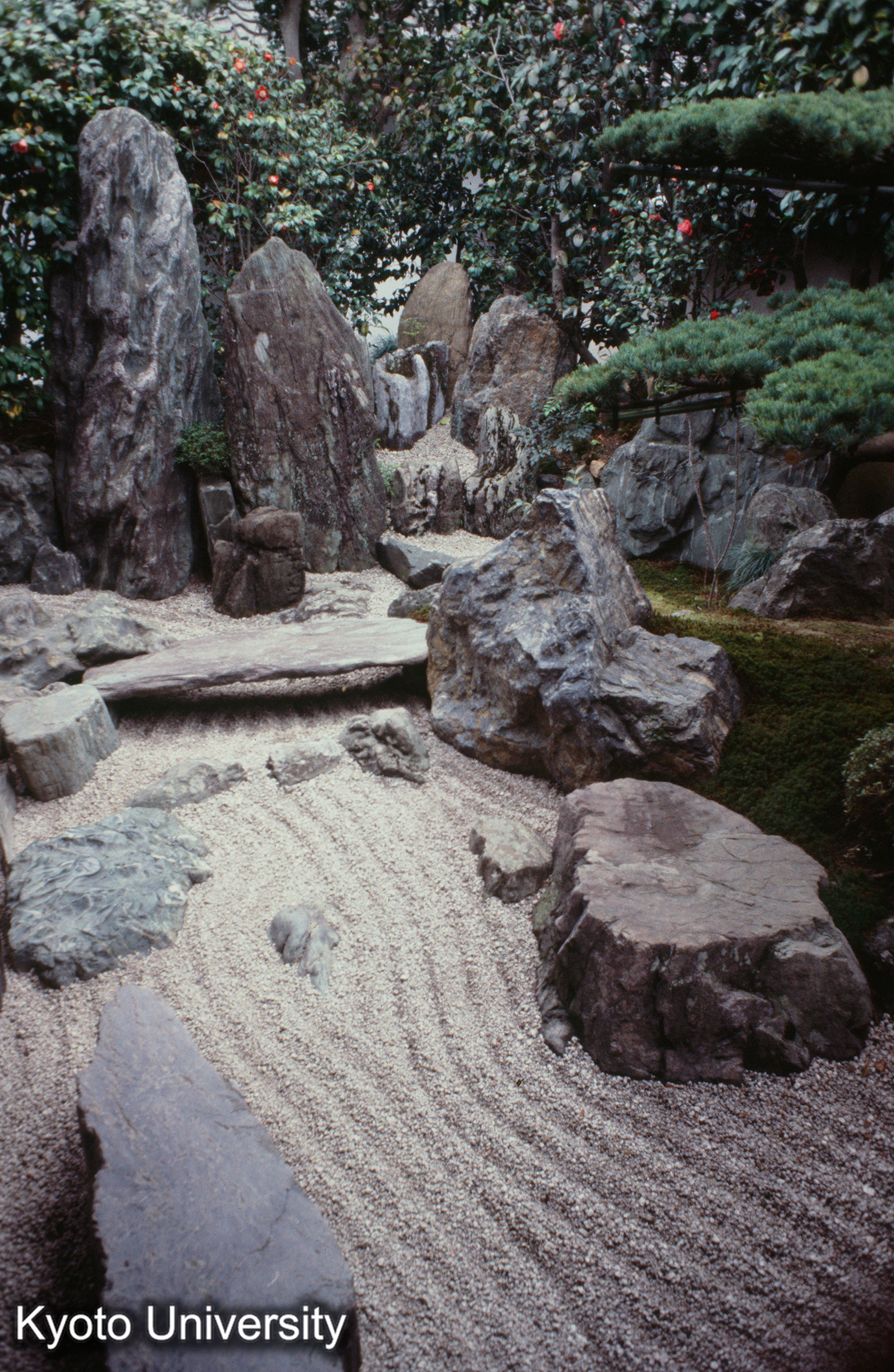 2_大仙院枯山水 9 (1)