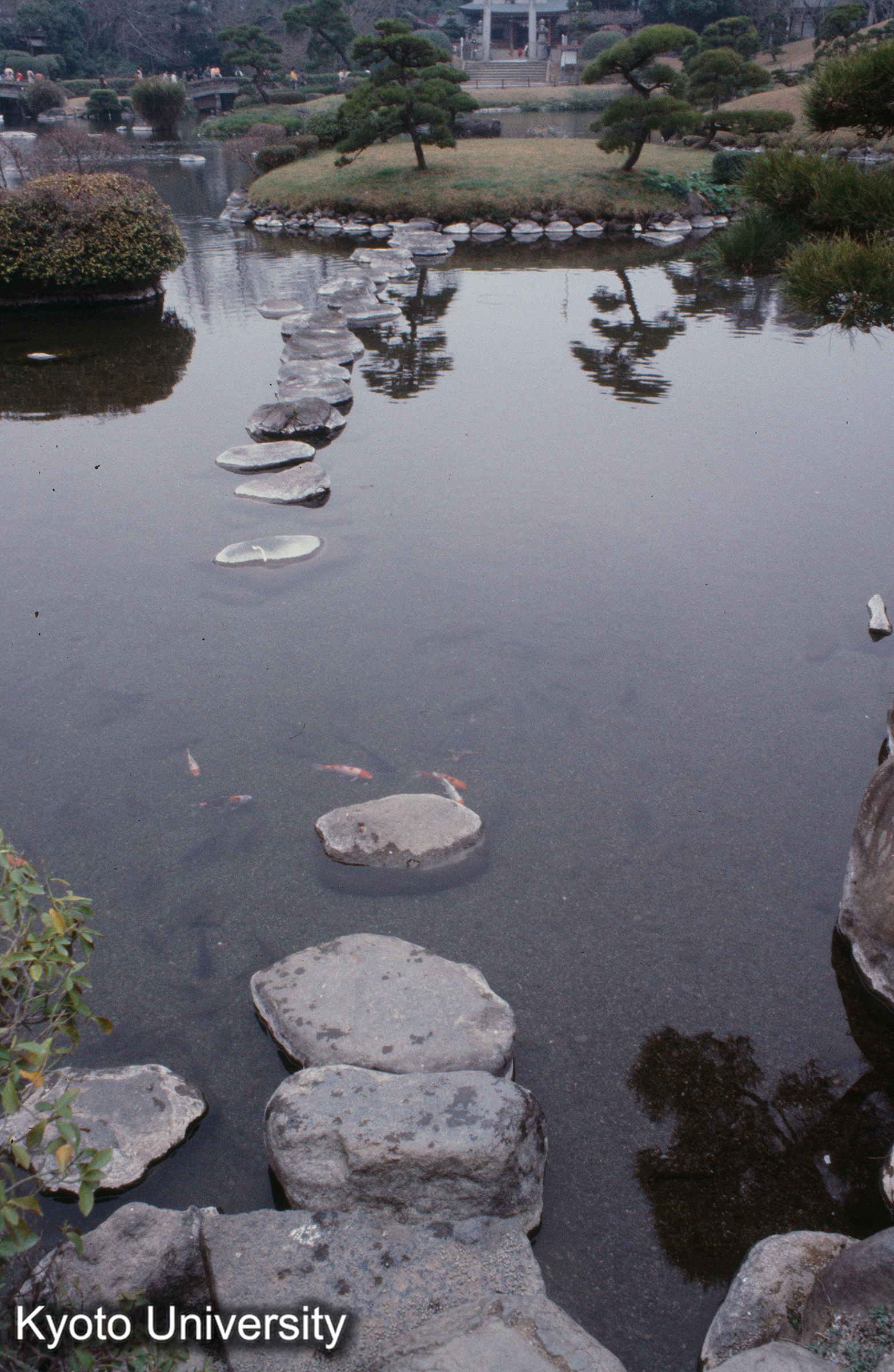 水前寺成趣園 （8） (1)