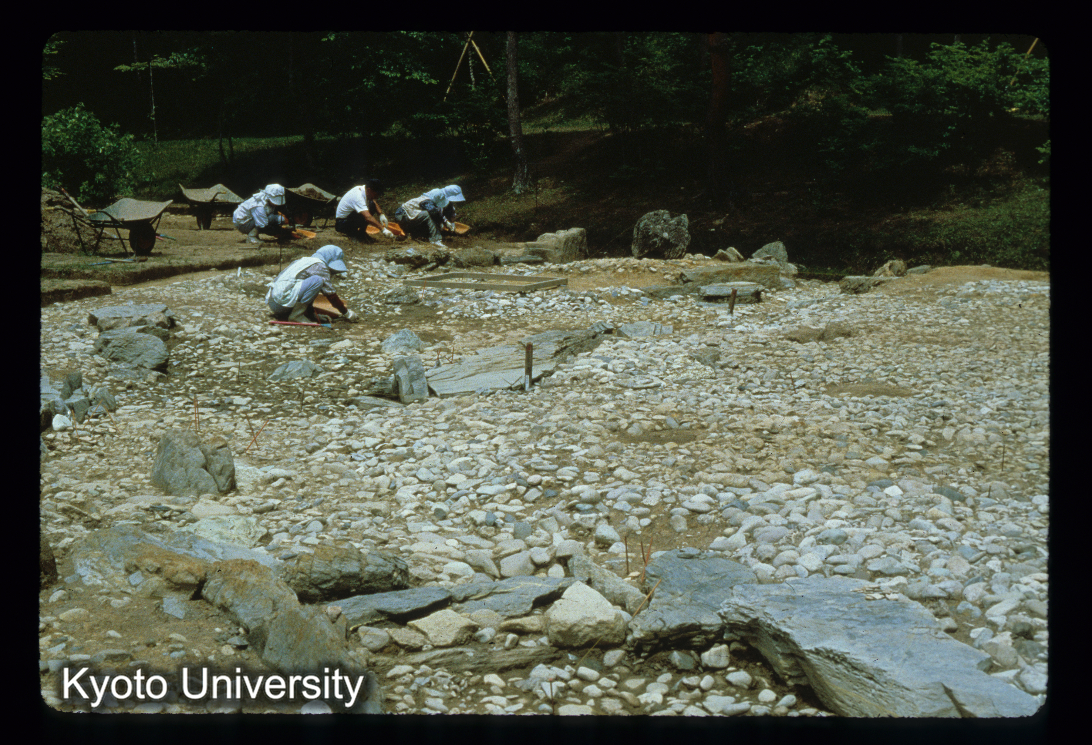 ［スライド］ (1)