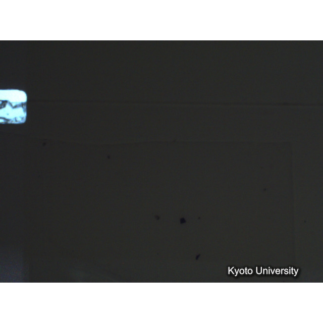 [ 1-1] 矢代日吉神社田楽（第一回）. [静止画像群1, 1～19枚目.] (17)