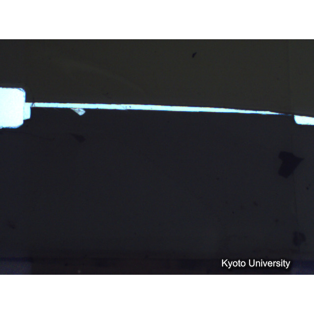 [ 1-1] 矢代日吉神社田楽（第一回）. [静止画像群1, 1～19枚目.] (18)