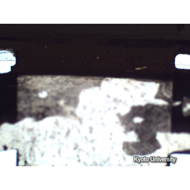 [ 1-1] 矢代日吉神社田楽（第一回）. [静止画像群1, 1～19枚目.] (19)