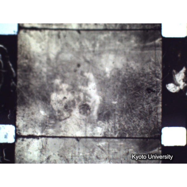 [ 1-1] 矢代日吉神社田楽（第一回）. [静止画像群2, 20～128枚目.] (1)