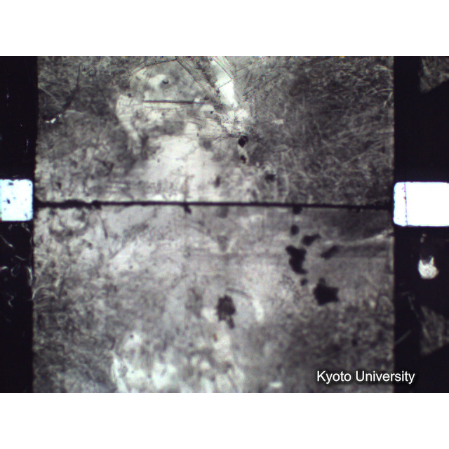 [ 1-1] 矢代日吉神社田楽（第一回）. [静止画像群2, 20～128枚目.] (5)