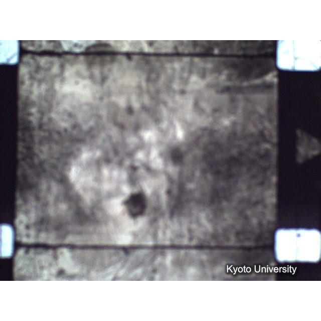 [ 1-1] 矢代日吉神社田楽（第一回）. [静止画像群2, 20～128枚目.] (7)