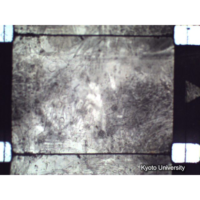 [ 1-1] 矢代日吉神社田楽（第一回）. [静止画像群2, 20～128枚目.] (8)