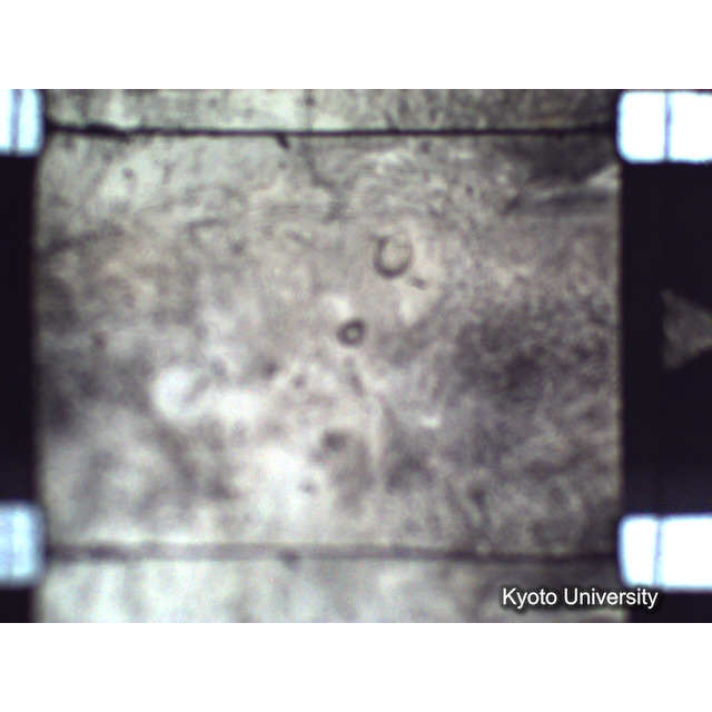 [ 1-1] 矢代日吉神社田楽（第一回）. [静止画像群2, 20～128枚目.] (9)