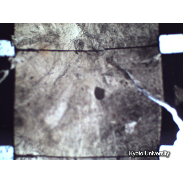 [ 1-1] 矢代日吉神社田楽（第一回）. [静止画像群2, 20～128枚目.] (15)