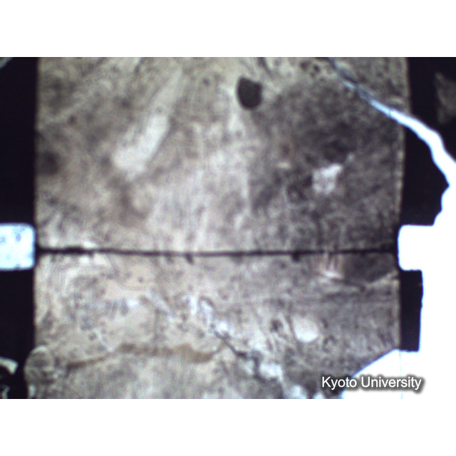 [ 1-1] 矢代日吉神社田楽（第一回）. [静止画像群2, 20～128枚目.] (16)