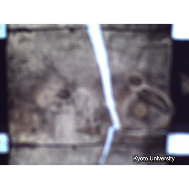 [ 1-1] 矢代日吉神社田楽（第一回）. [静止画像群2, 20～128枚目.] (39)