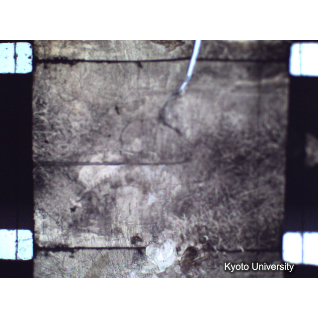 [ 1-1] 矢代日吉神社田楽（第一回）. [静止画像群2, 20～128枚目.] (41)