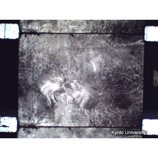 [ 1-1] 矢代日吉神社田楽（第一回）. [静止画像群2, 20～128枚目.] (48)