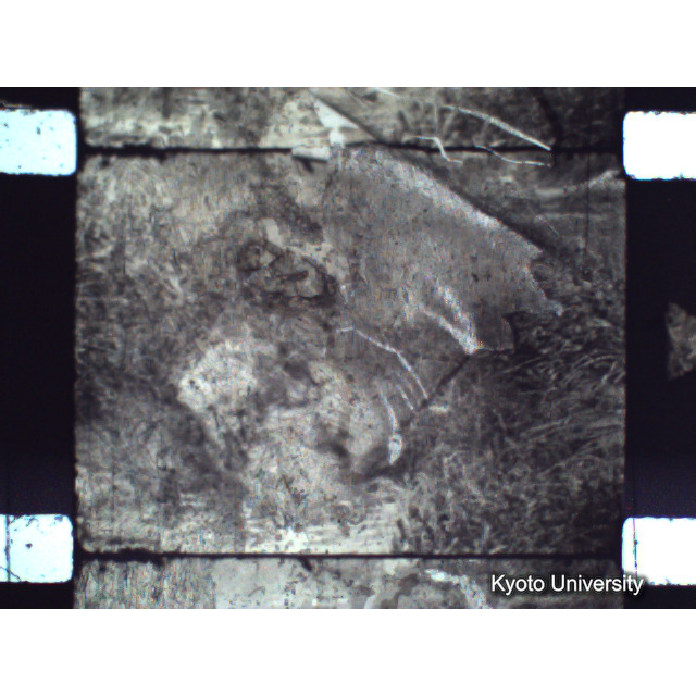 [ 1-1] 矢代日吉神社田楽（第一回）. [静止画像群2, 20～128枚目.] (50)