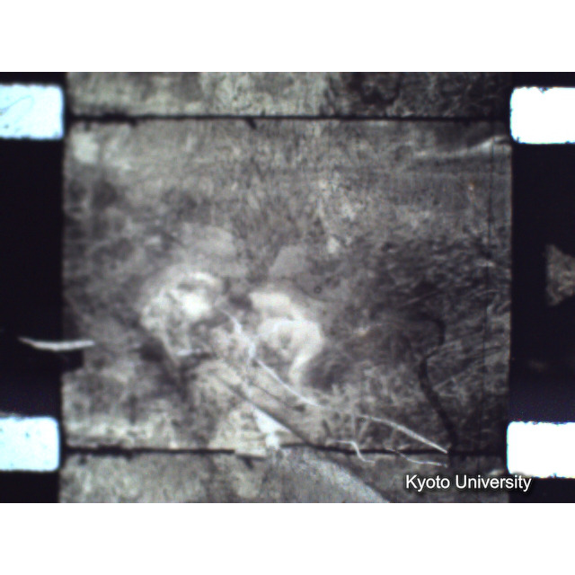 [ 1-1] 矢代日吉神社田楽（第一回）. [静止画像群2, 20～128枚目.] (51)