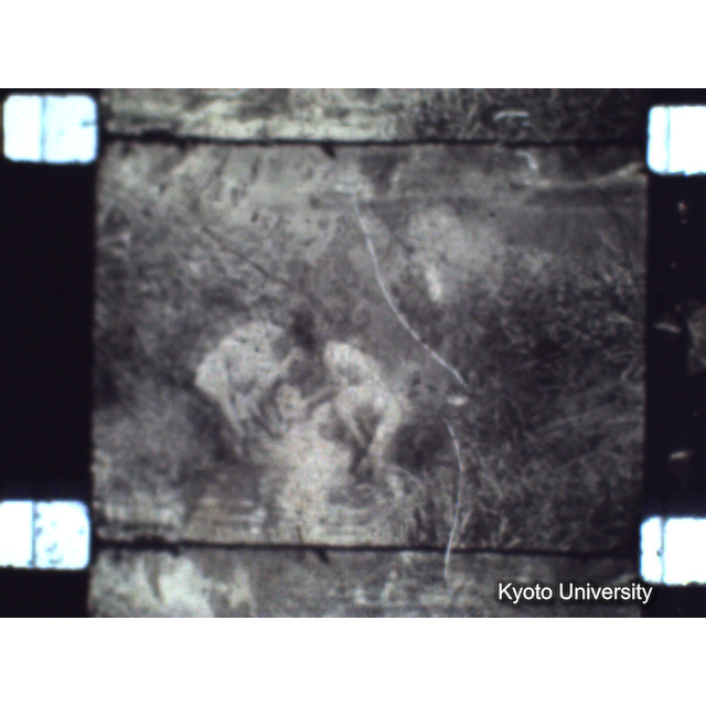 [ 1-1] 矢代日吉神社田楽（第一回）. [静止画像群2, 20～128枚目.] (57)